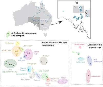 Time capsules of biodiversity: Future research directions for groundwater-dependent ecosystems of the Great Artesian Basin